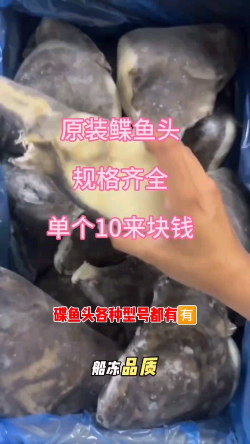 原装进口鱼头，皮黑肉白，一件起批！