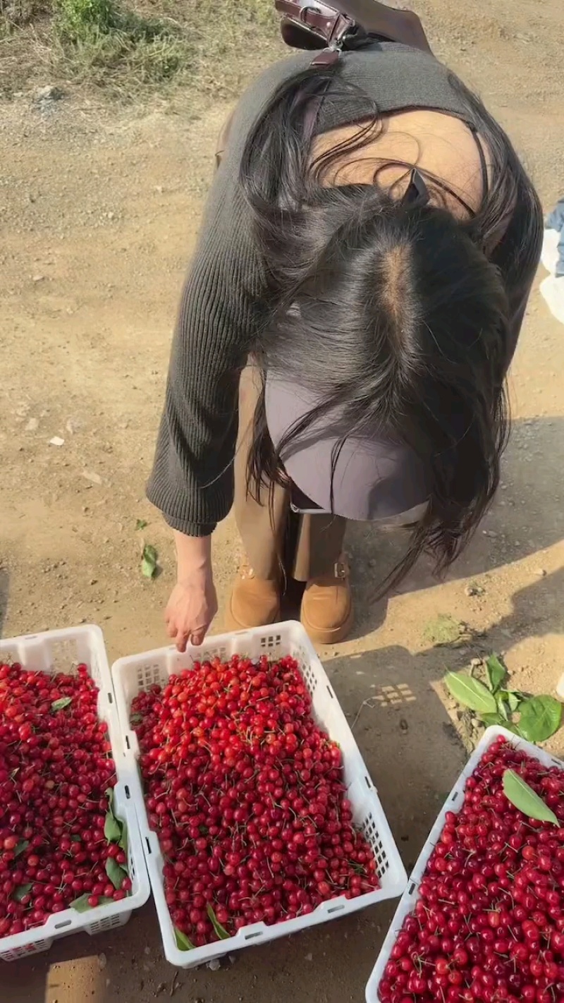 樱桃🍒🍒熟了