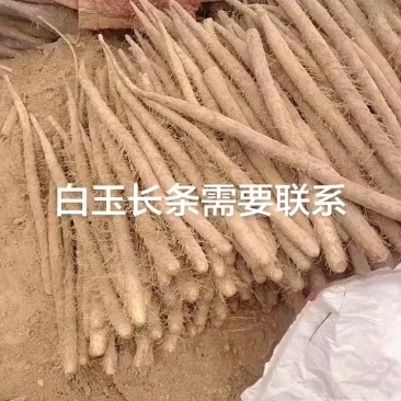 白玉长条出货中，效果不错需尽快。
