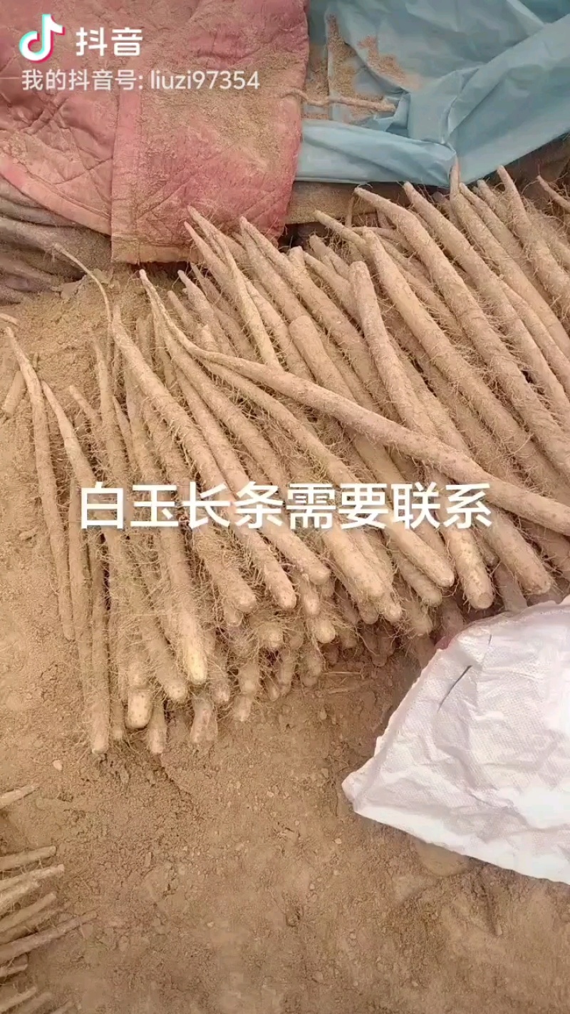白玉长条出货中，效果不错需尽快。