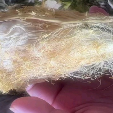 霸王花地摊电商批发剑花干干剑花霸王花干