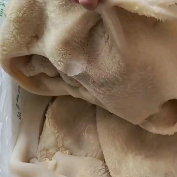 熟牛肚十几块一斤，油净质量好！