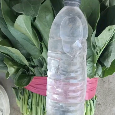 刚到货，一斤二十六七个，品质不一有露水。