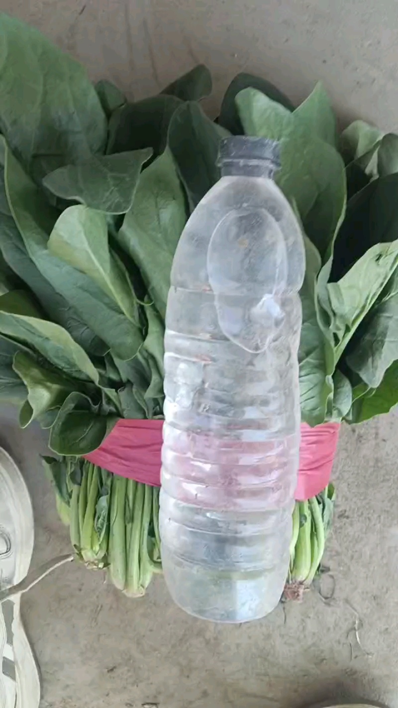 刚到货，一斤二十六七个，品质不一有露水。
