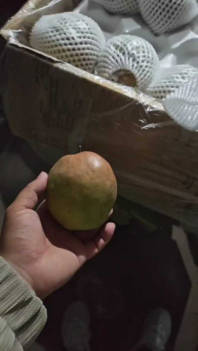 河北赵县玉露香梨大量有货，价格美丽！