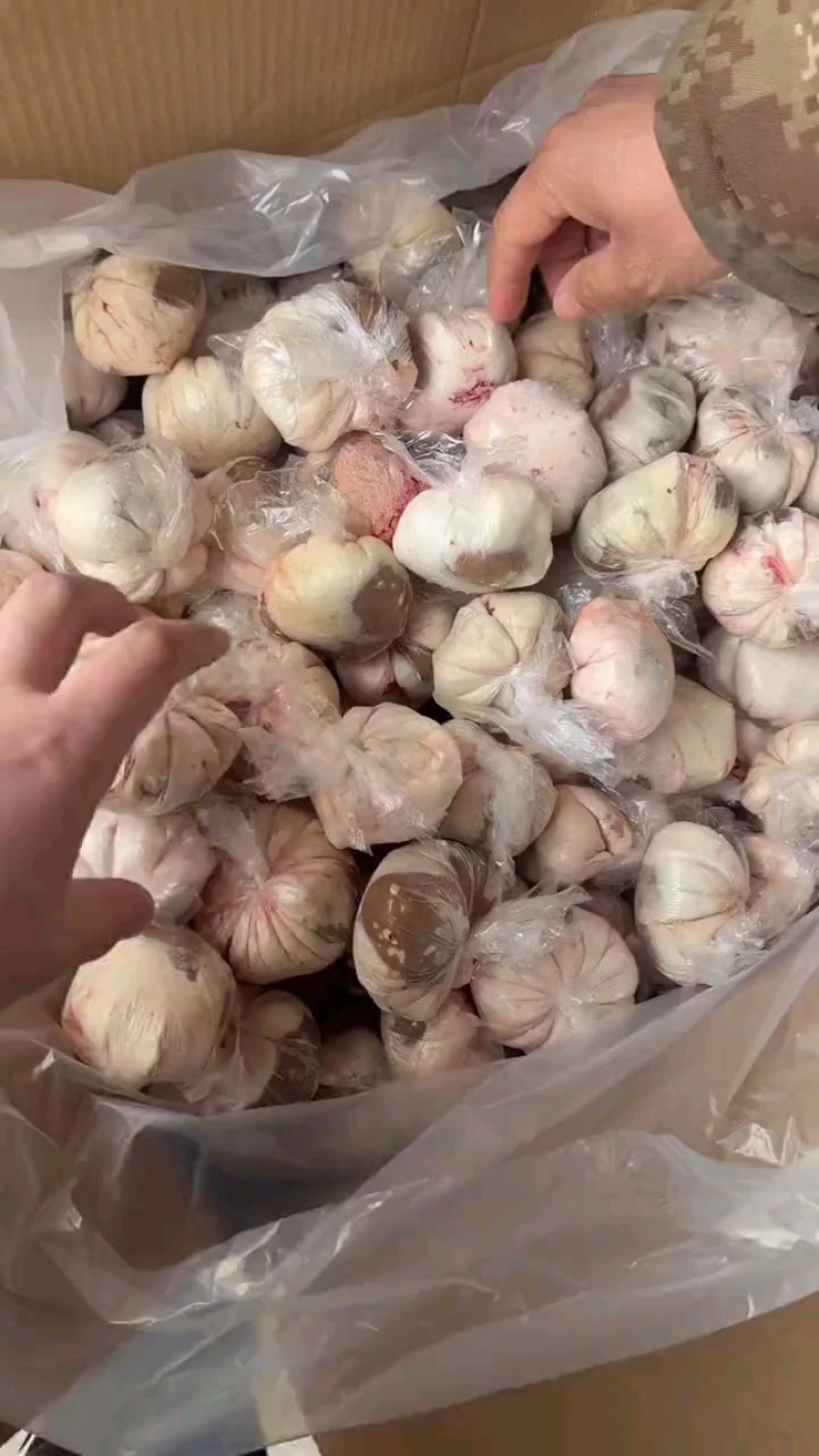 内蒙原油羊腰批发18元/斤，肉质好利润高！