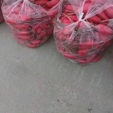 红皮萝卜20起步，18元，郫都产地直供。