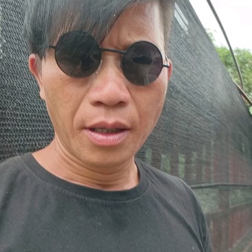 香水菠萝