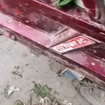 中棚黄心大白菜无虫无病害，有需要的客户及时联系。