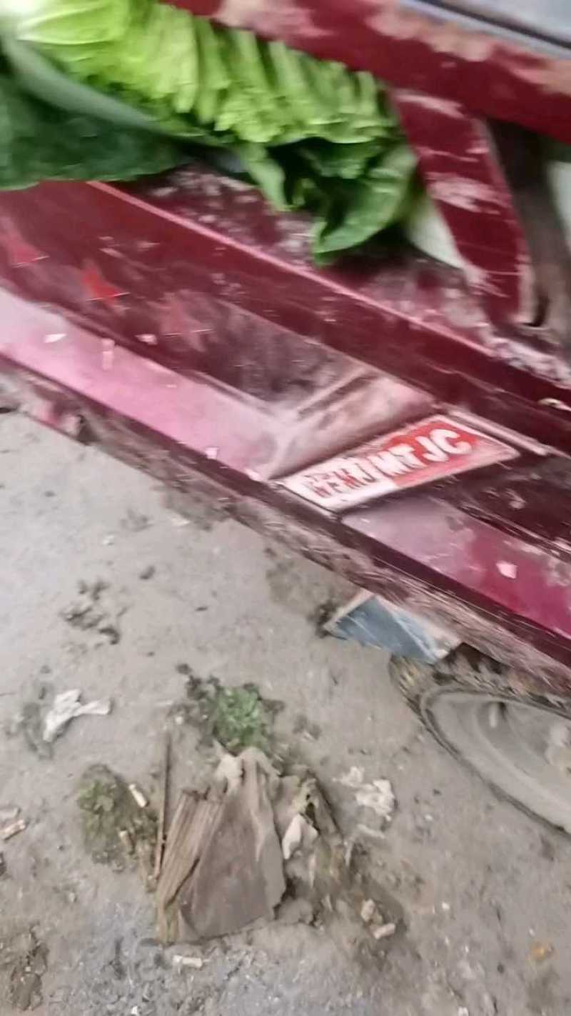 中棚黄心大白菜无虫无病害，有需要的客户及时联系。