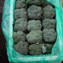 成都西兰花60元/件，净重28斤，货量充足