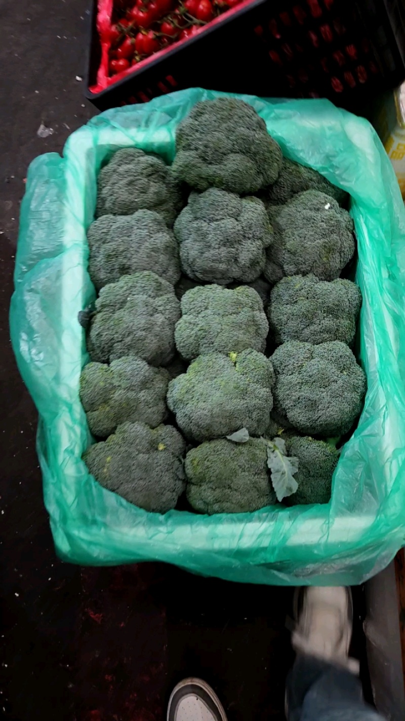 成都西兰花60元/件，净重28斤，货量充足