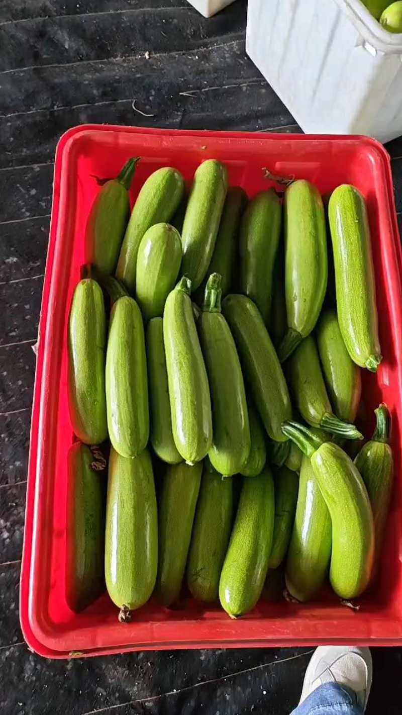 精品绿皮西葫芦人工筛选装框打包质量保证价格合理欢迎进店