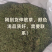 （热销）伸筋草一手货源严于品质实物拍摄祥泰药材栈欢迎购