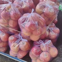 砀山红富士苹果大量上市中，口感甜质量好，数量大