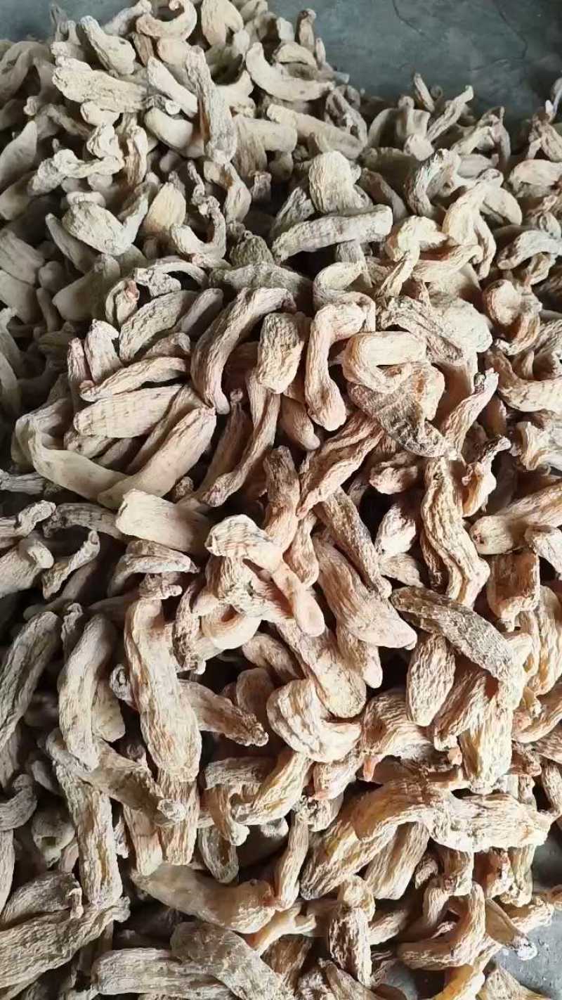 [产地直销]足干无硫天麻批发自产自销质量好干度好