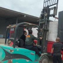 万荣纸加膜富士发往南京，大小不论加工果装车中