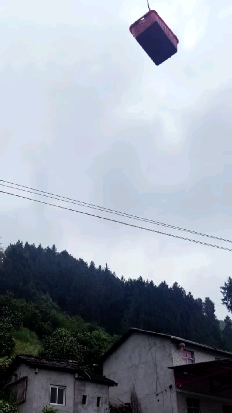 湖北脐橙伦晚脐橙一手货源，量大从优，对接市场批发商发全国