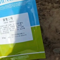 白萝卜基地5月中旬大量上市。有水洗打冷货，市场货，电商