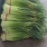 白帽蒜苔大量上市