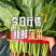 菠菜大叶菠菜河北净菜加工商超电商供货代发全国市场