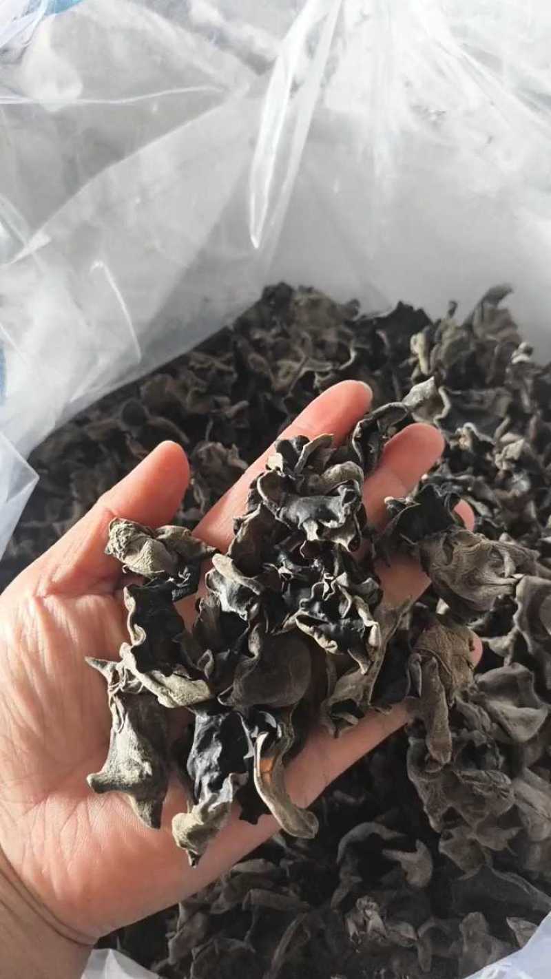 东北黑木耳1.8规格，2323元/40斤，泡发率高达12斤！
