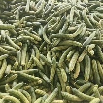 湖北旱黄瓜，产地直发，全国发货，诚信经营