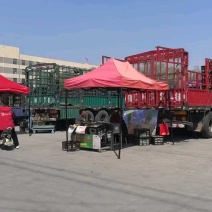 临沂菠萝价格2元，走量快一两天一车。