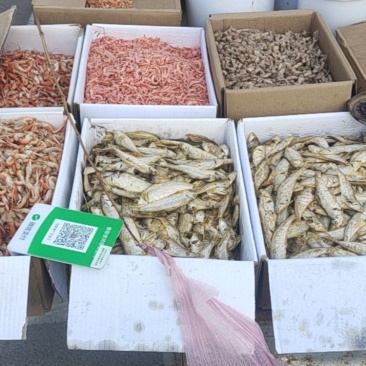 各种海货虾皮小海虾产地直发量大从优欢迎来电咨询