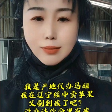 绥中寒富苹果，基地直发，诚信经营，可对接电商商超等，诚信