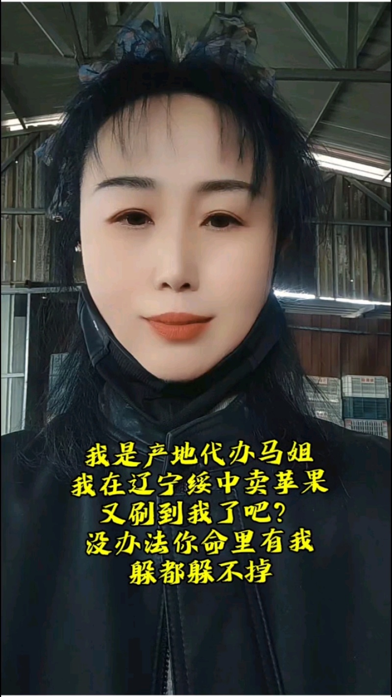 绥中寒富苹果，基地直发，诚信经营，可对接电商商超等，诚信