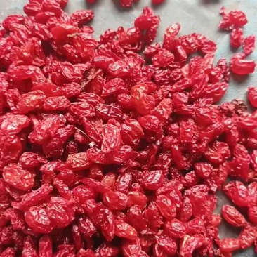 精品山茱萸65元，皮大肉厚，常年批发。