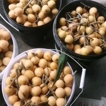 枇杷，市场果，电商果