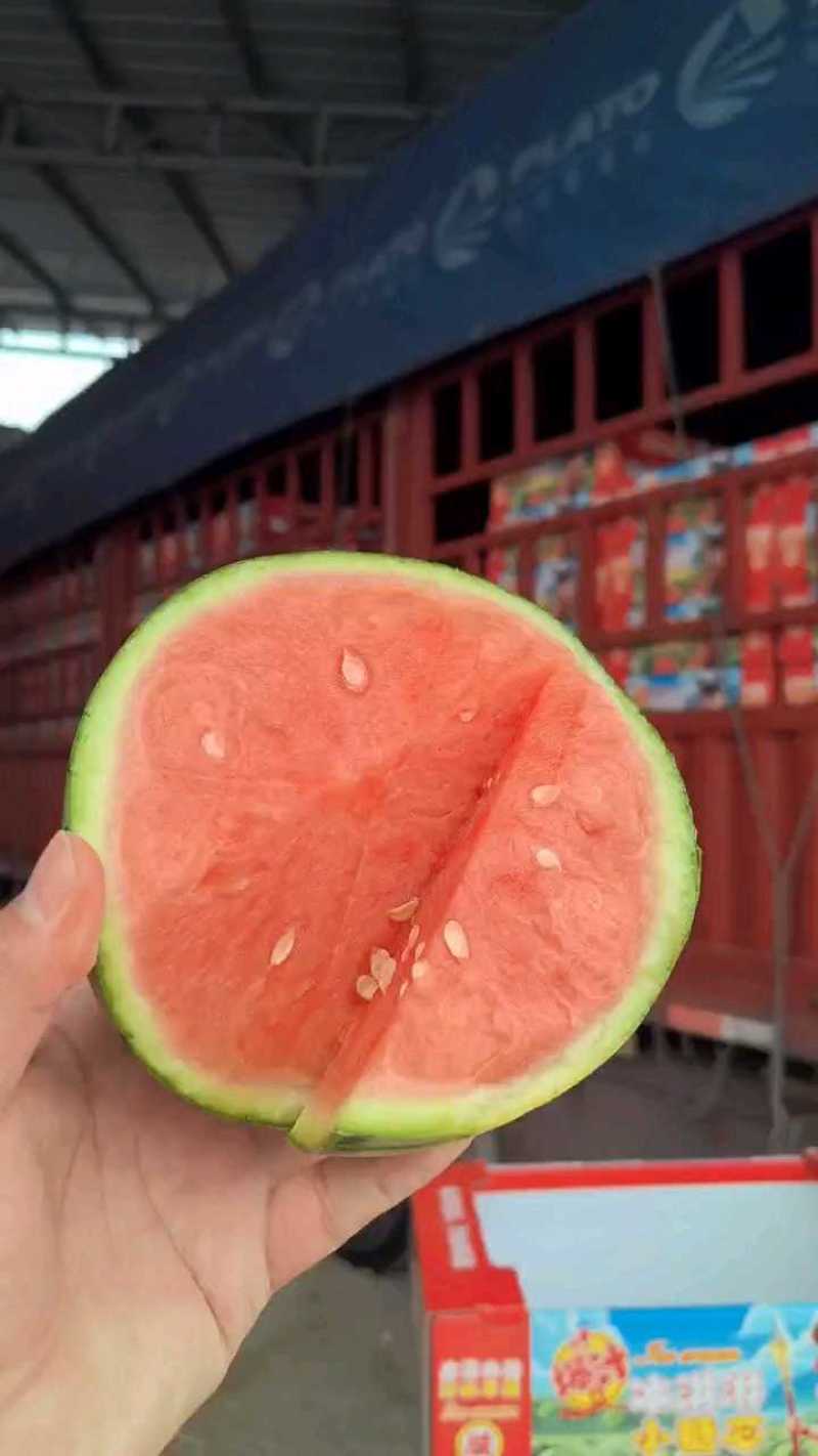 2K西瓜小糖丸西瓜早春红玉西瓜电商货市场货