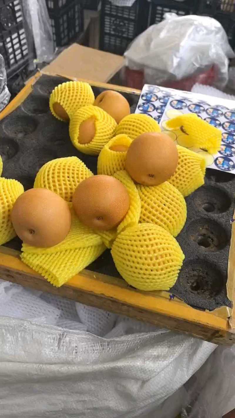 正宗秋月梨，大量现货降价了处理了，货源充足