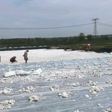 山东淀粉红薯淀粉农户自产，纯度高量大从优