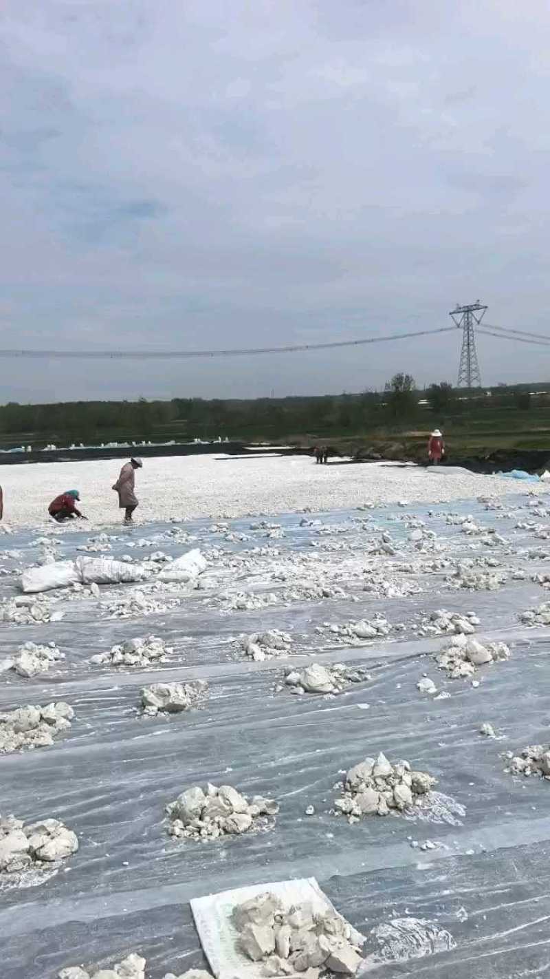 山东淀粉红薯淀粉农户自产，纯度高量大从优