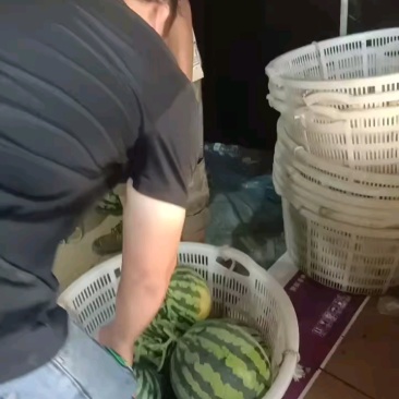 云南，本地露天，大棚井水灌溉，精品，麒麟西瓜。。。。