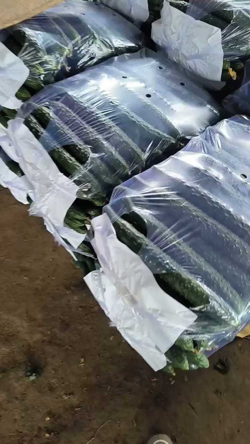 一等黄瓜打包发车，发往上海！