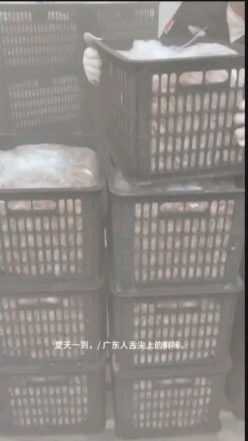 .现货：广东郁南（速冻冷藏无核黄皮果）量大价格从优。