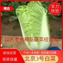 【实力商家】白菜北京3号白菜平阴白菜净菜标准