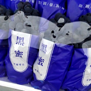 夏黑葡萄上市，整箱8块5，整车刚到货。
