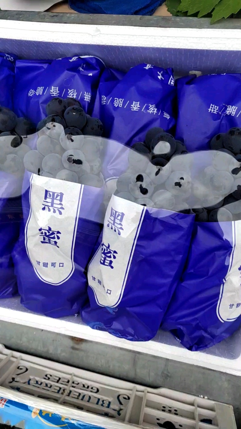 夏黑葡萄上市，整箱8块5，整车刚到货。