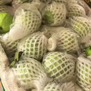 白心芭乐，白心番石榴，产地货源，果园种植，可视频看货