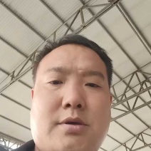 精品甘蓝，圆包菜产地直供大量有货对接超市批发市场全国发货
