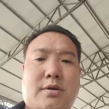 精品甘蓝，圆包菜产地直供大量有货对接超市批发市场全国发货
