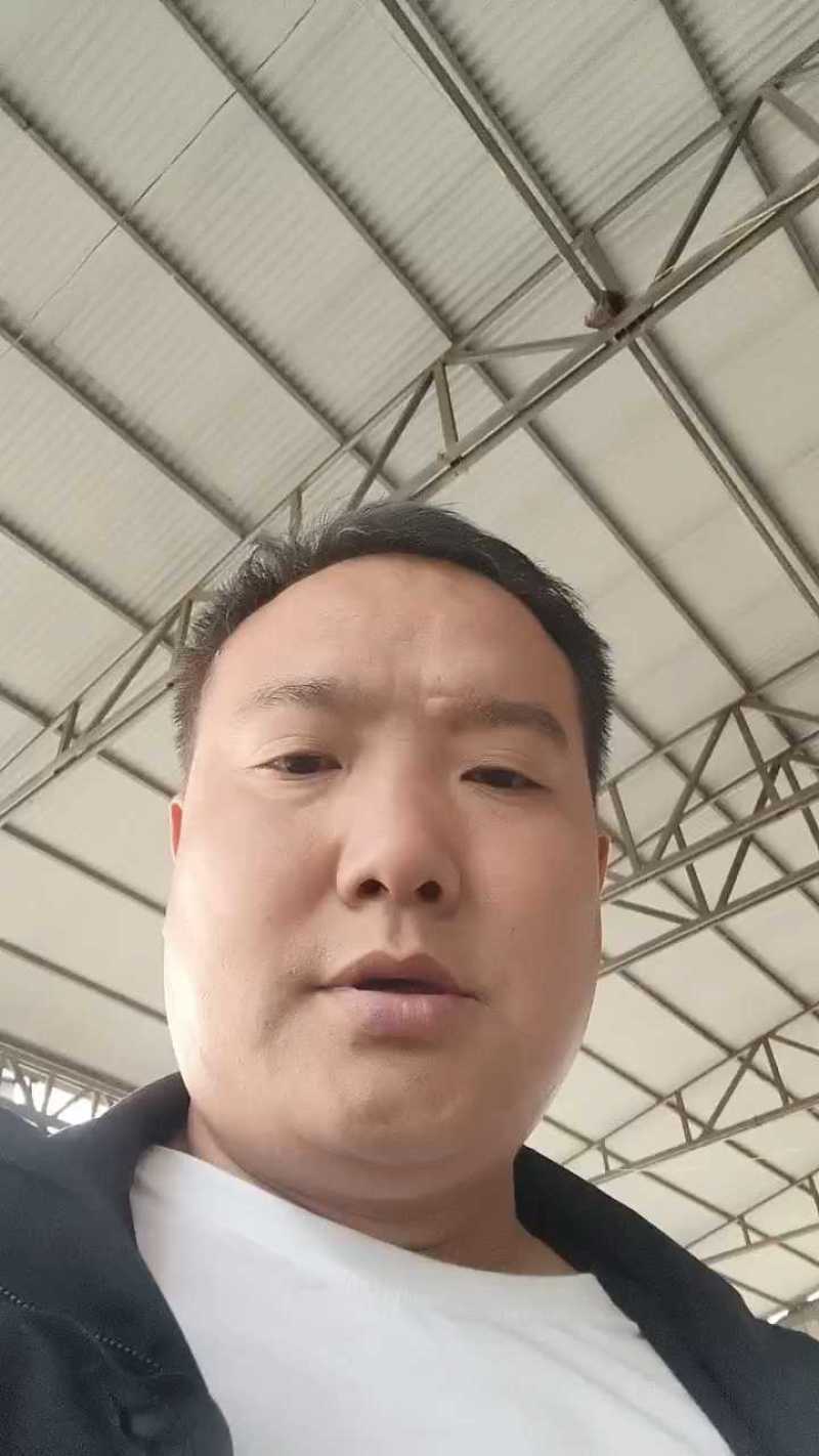 精品甘蓝，圆包菜产地直供大量有货对接超市批发市场全国发货