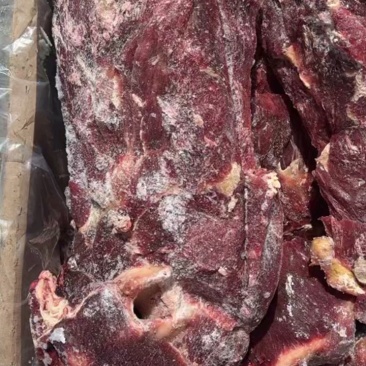 新鲜满肉牛脖骨，大量现货，肉超大，量大从优！可切割