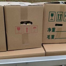 湖北正宗土鸡蛋走地鸡散养自家养殖/视频看货