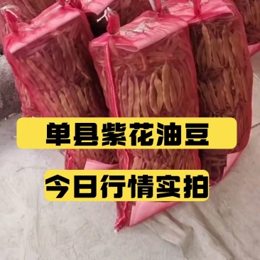 单县紫花油豆大量上市中！大吨位供货！质量保证，条长肉厚！